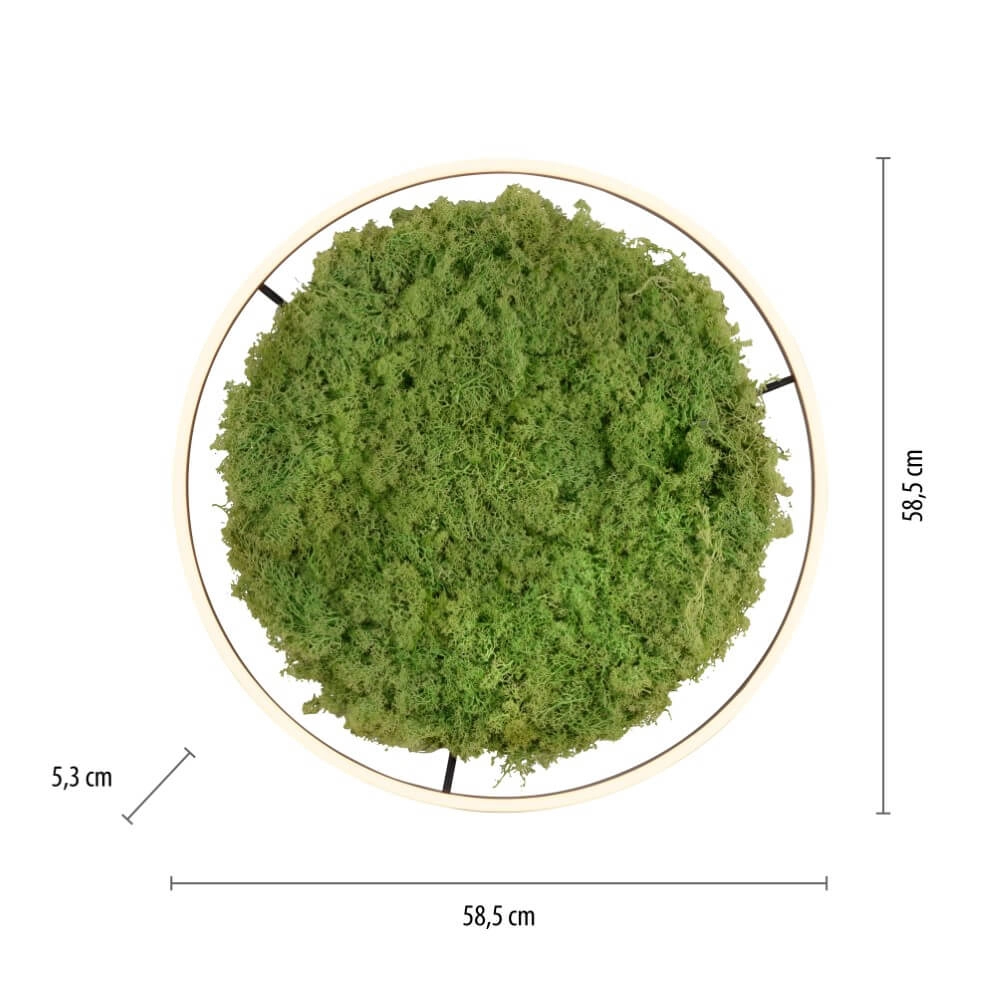 Deckenleuchte Green Ritus mit Moos Ø 58,5cm Just Light 4043689994808