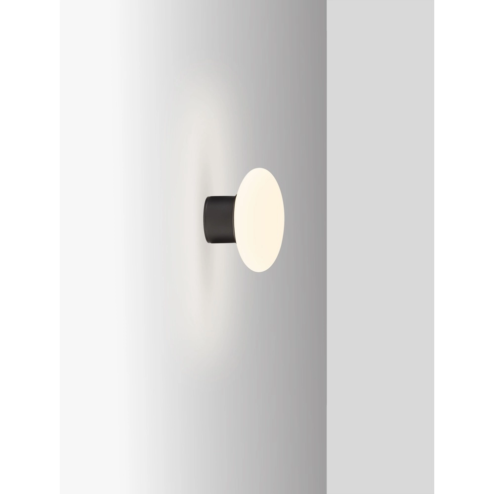 Deckenlampe Ali anthrazit mit ovalem weißem Glas Lyora 5212017476456