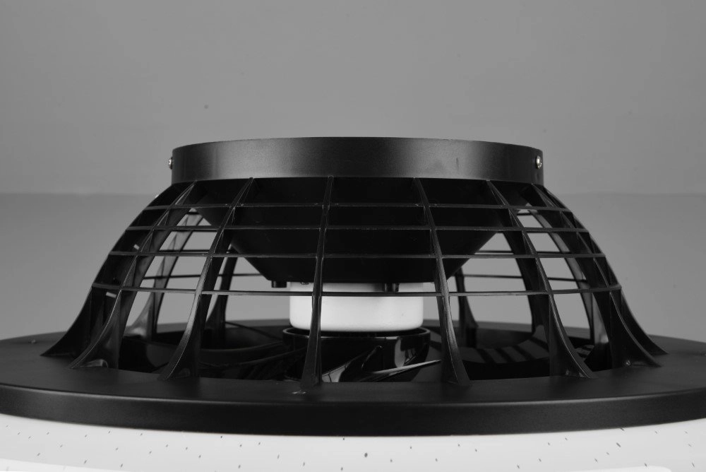 Schwarzer Deckenventilator Stralsund Trio 4017807491098