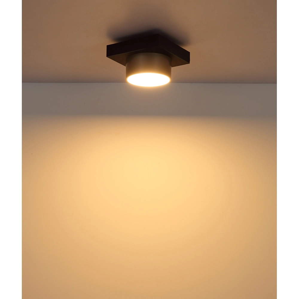 Deckenlampe Raymond schwarz mit Champagner Globo 9007371569373