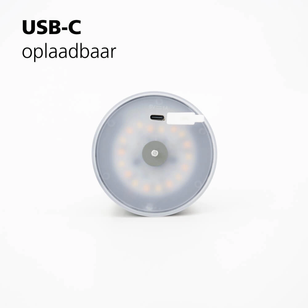 Tischlampe Mannera Wiederaufladbar Grau Eglo 9008606355525