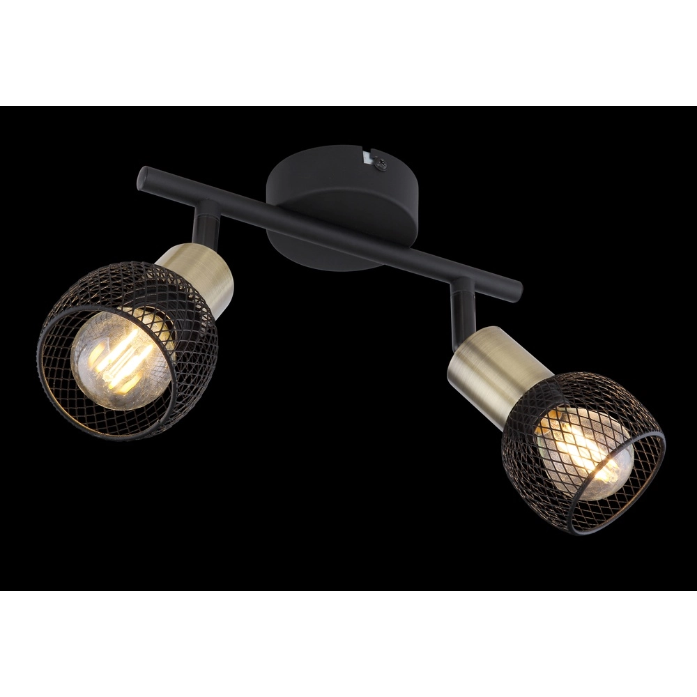 Deckenlampe Fiastra 2-Licht-Schwarz mit Mesh Globo 9007371415120