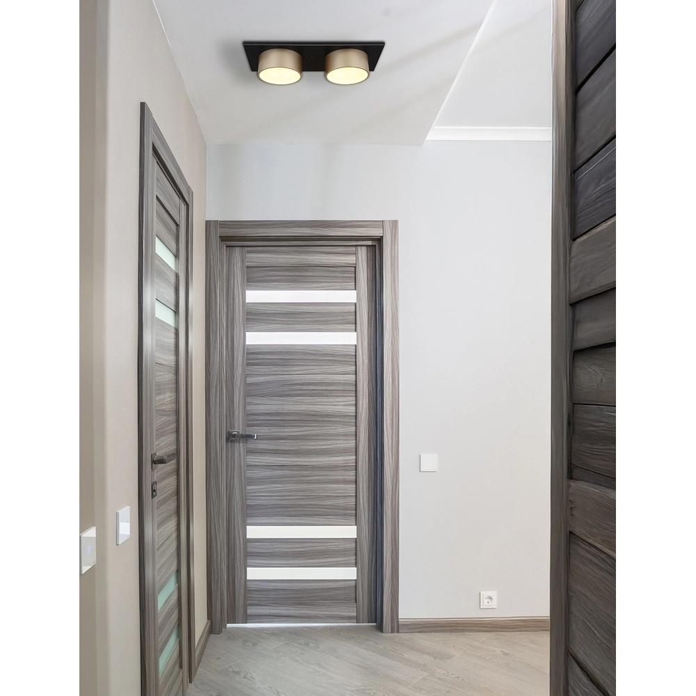 2-Licht Deckenlampe Raymond schwarz mit Champagner Globo 9007371522873