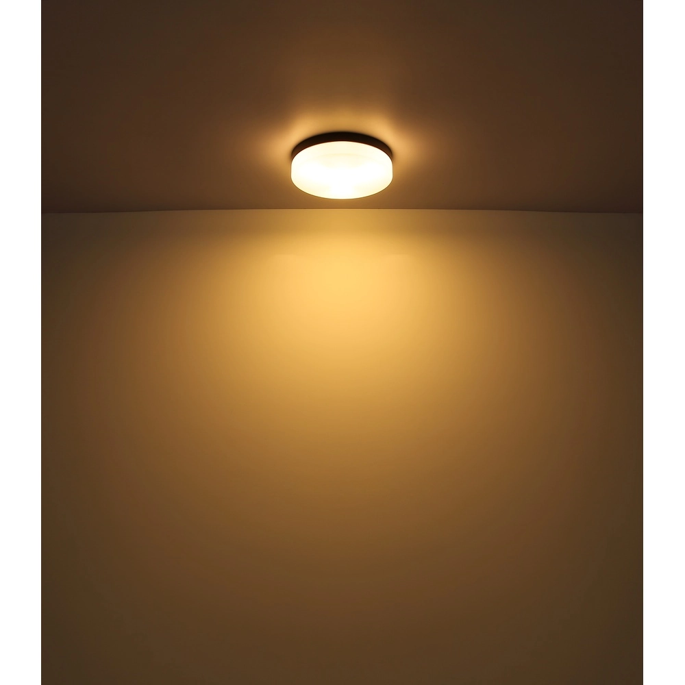 Design-Deckenlicht Vranos schwarz für den Außeneinsatz Ø 30 cm Globo 9007371440764