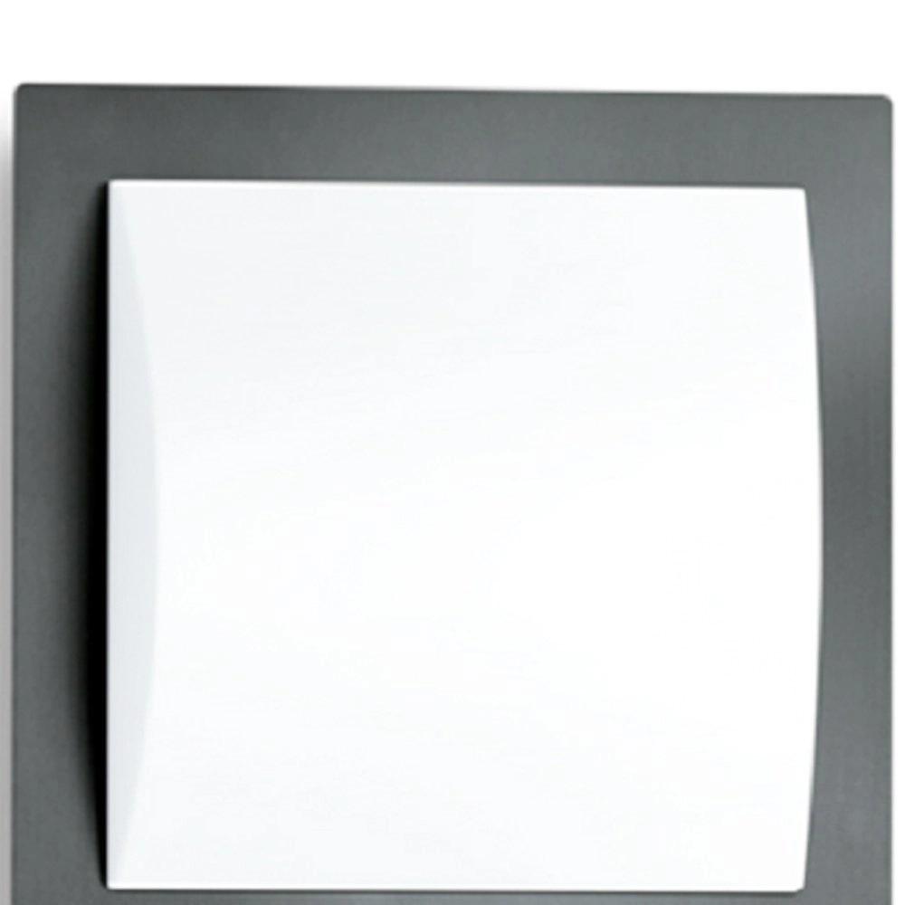 Außenlampe L 20 S ANT Sensor Steinel 4007841035693