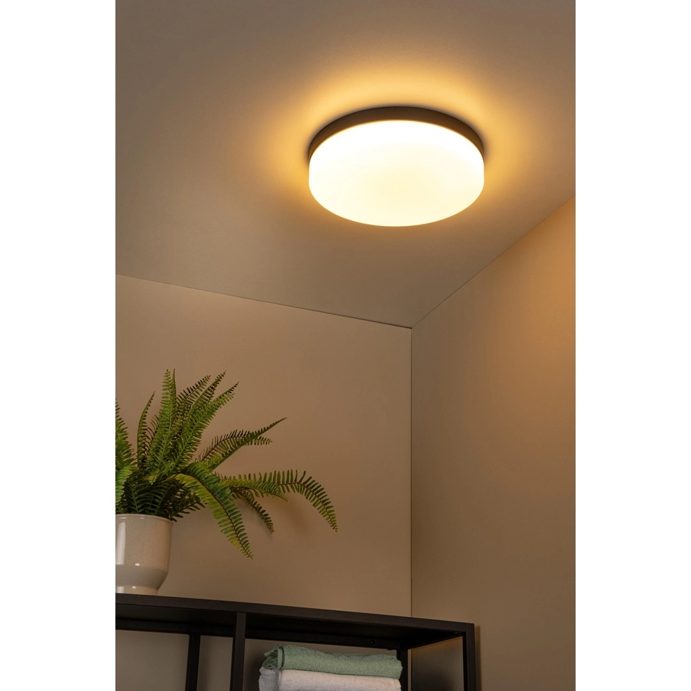 Deckenlicht Biskit Ø 34,5cm - IP44 schwarz