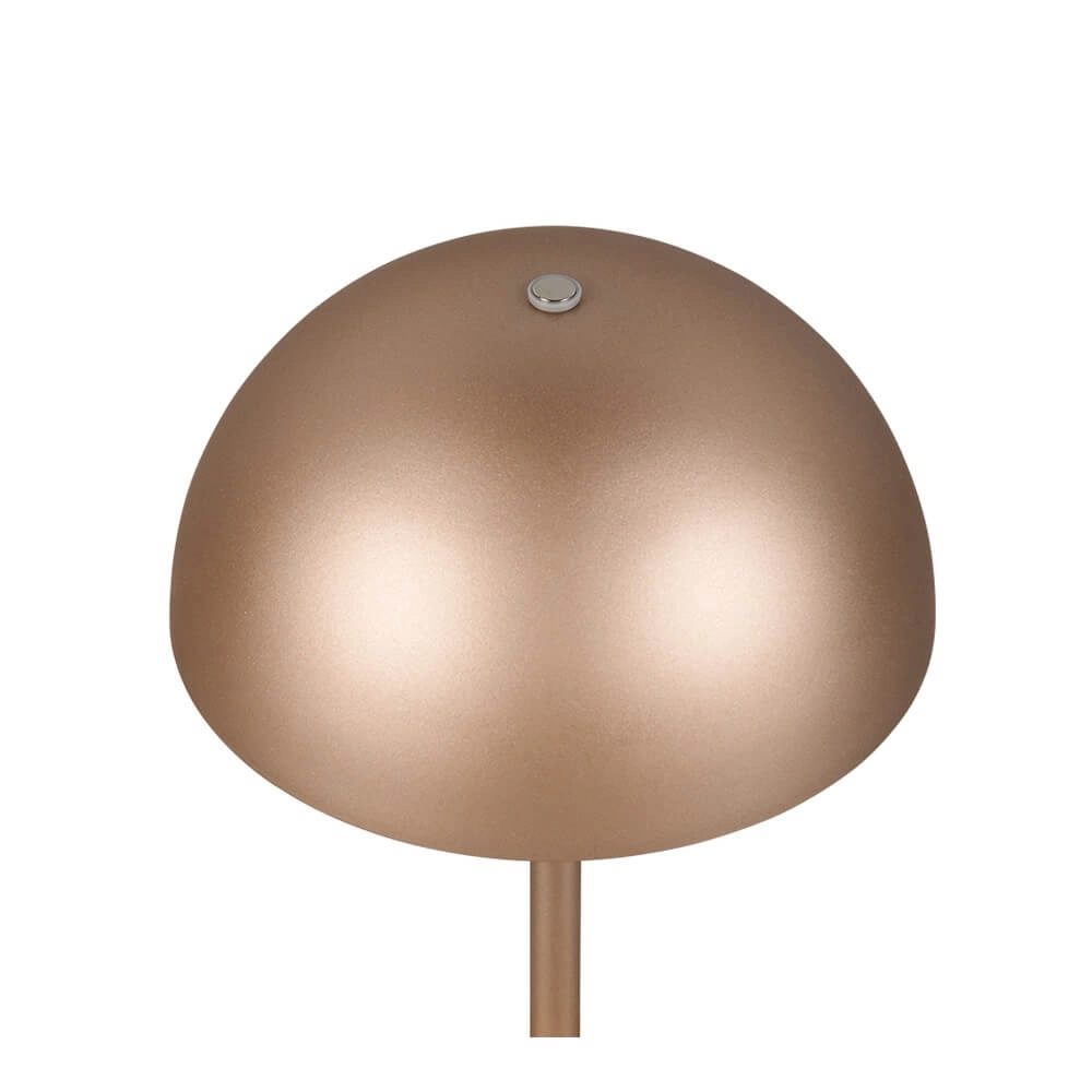 Tischlampe Munoz kaffeebraun Ø 13cm Trio 4017807642537
