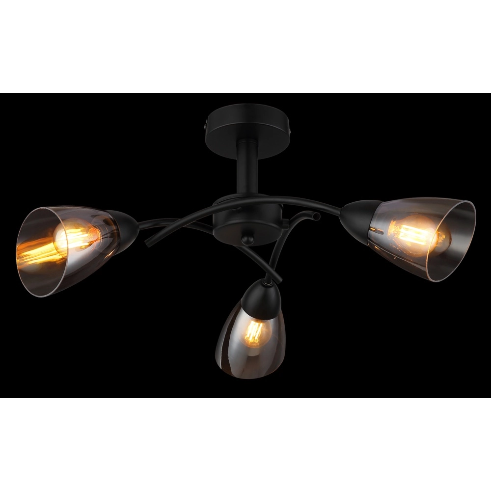 Schwarze Deckenlampe Paula Konstruktion Globo 9007371589524