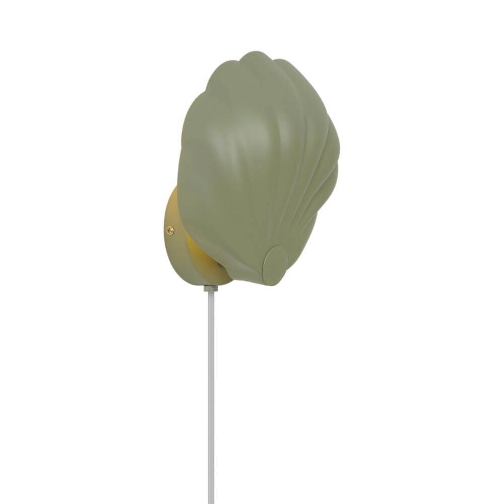 Wandleuchte Konchi Muschel grün