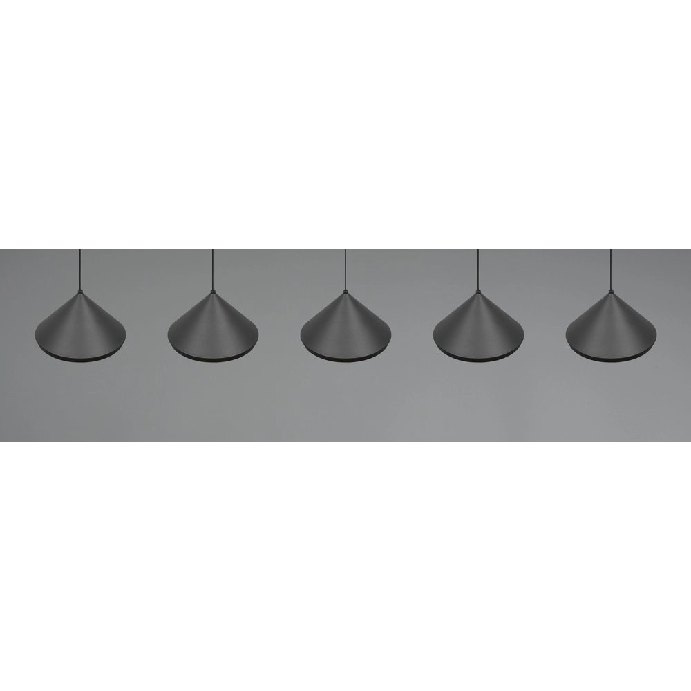 5-flammige Pendelleuchte Laguna schwarz Trio 4017807667684