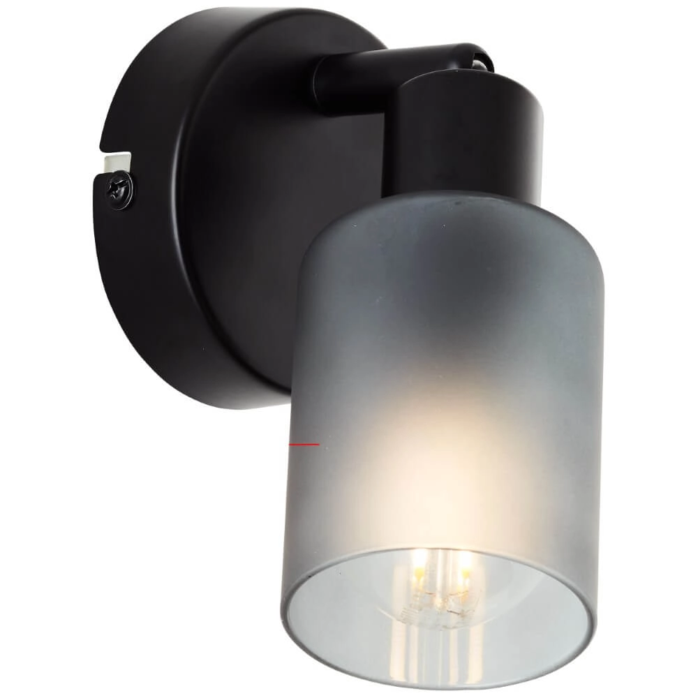Schwarze Wandlampe Loralie Brilliant 4004353413223