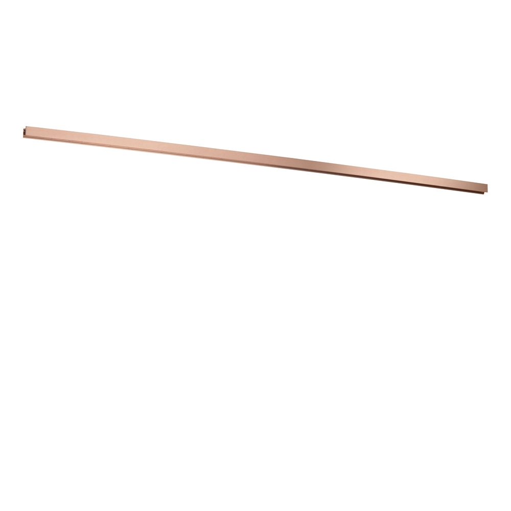 1-Meter-Schiene einphasig Linial Champagner
