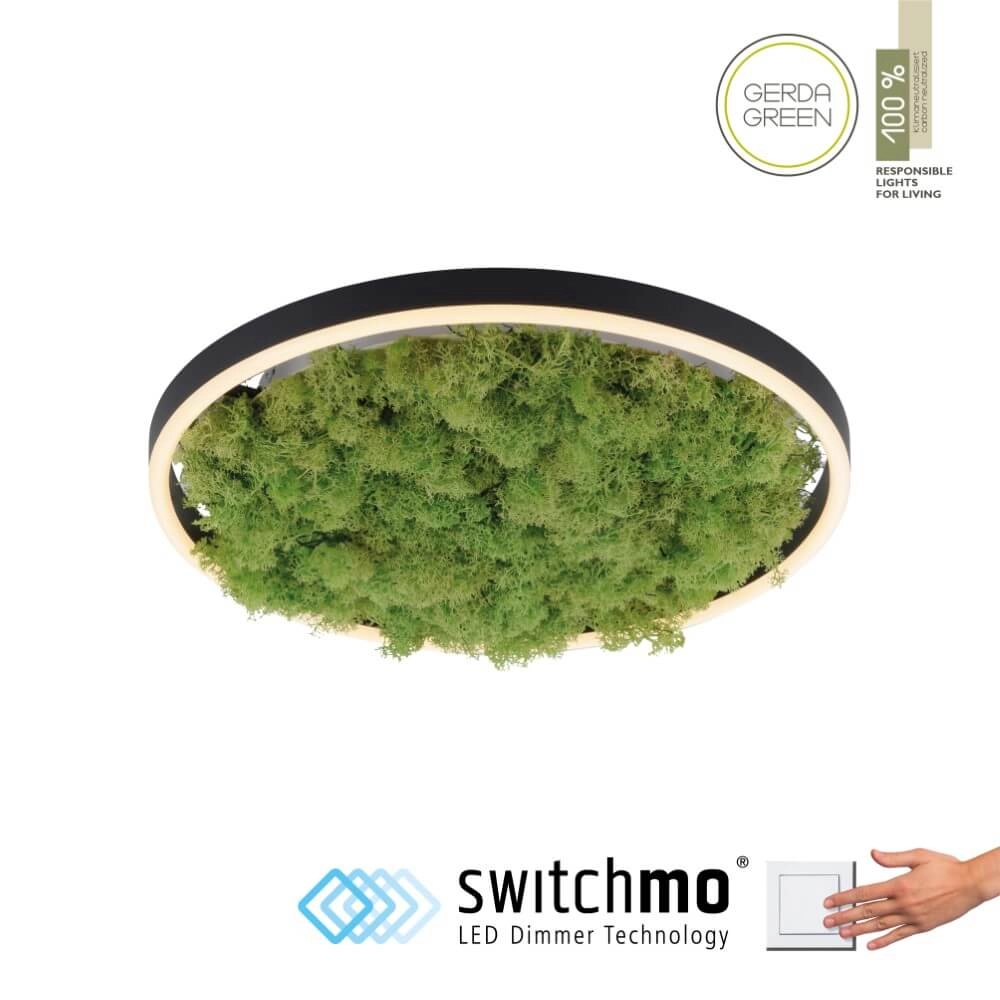 Deckenleuchte Green Ritus mit Moos Ø 39,3cm Just Light 4043689994792
