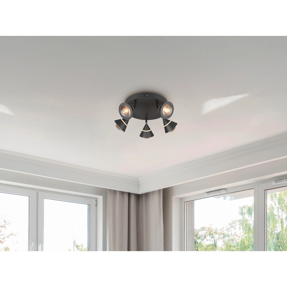 Deckenlampe Romeo schwarz Trio 4017807670417