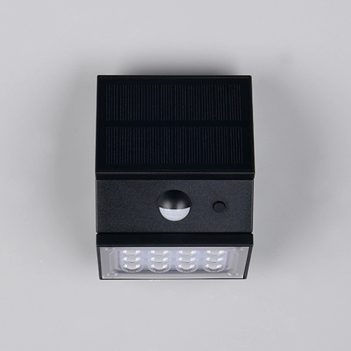 Wandlampe Talca Schwarz Trio 4017807691658
