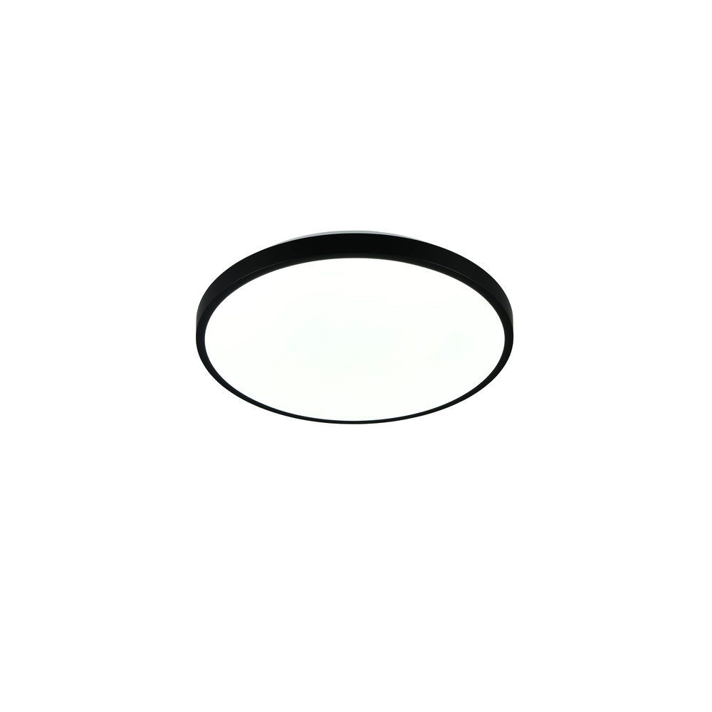 Deckenlicht Slope Schwarz Trio 4017807668643