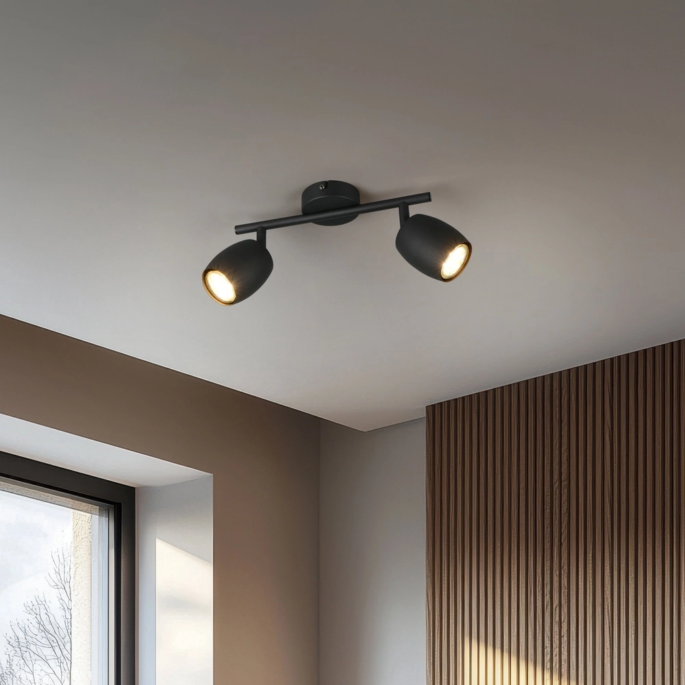 Deckenlampe Nancy 2-flammig schwarz Trio 4017807656602