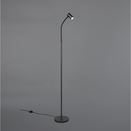 Design-Stehlampe Taryn Schwarz