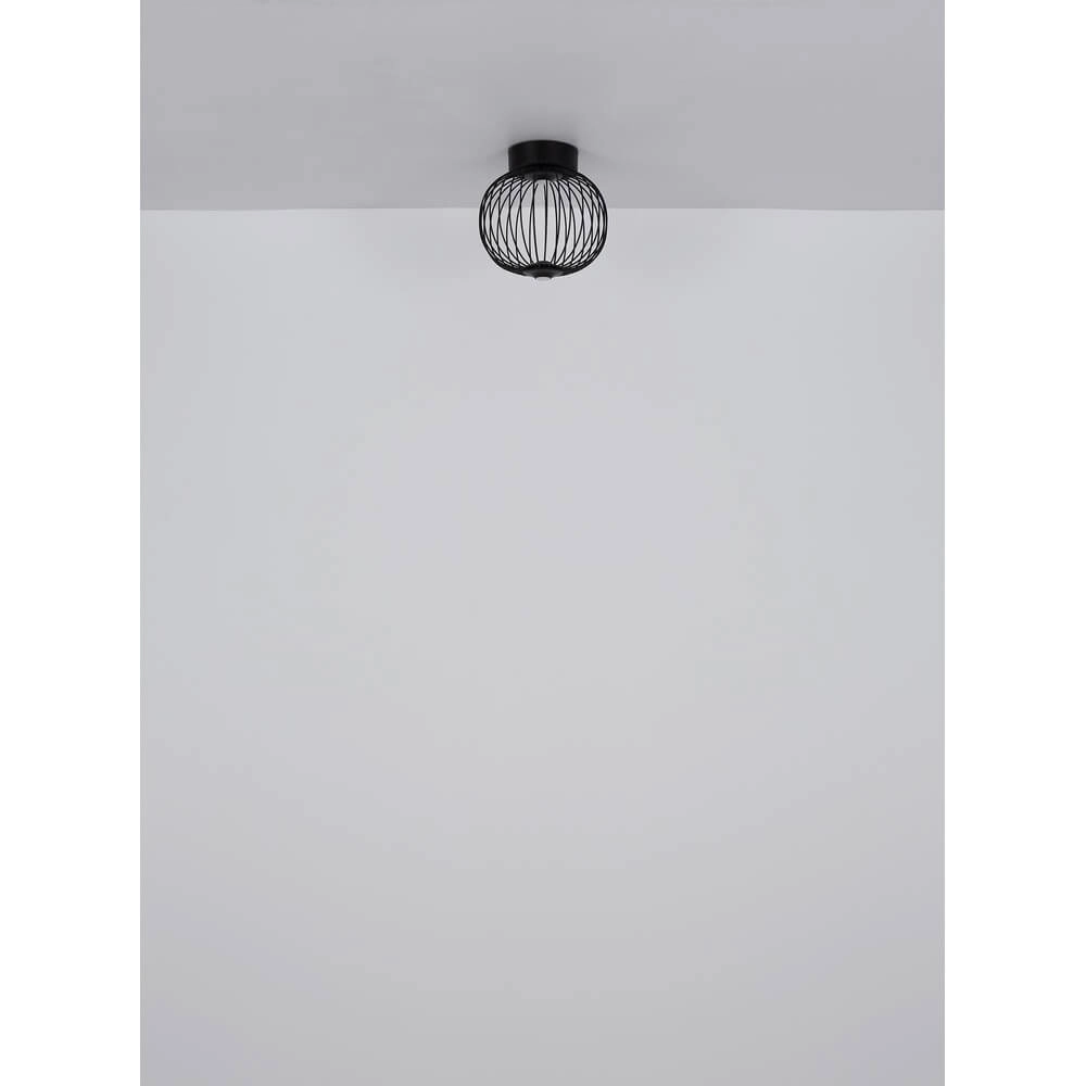 Schwarze Deckenleuchte Galway Einzelkäfig Ø 50cm Globo 9007371468331