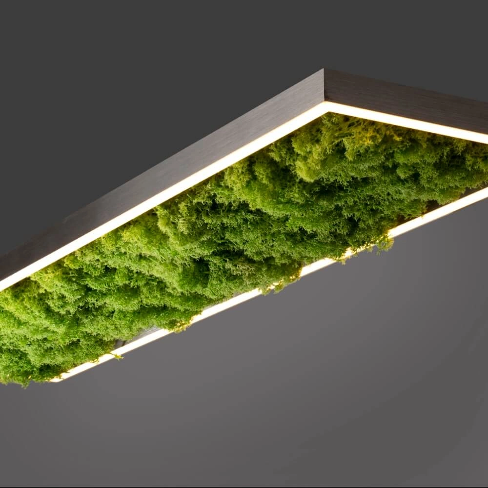 Rechteckige Deckenleuchte Green Knut mit Moos Just Light 4043689994846
