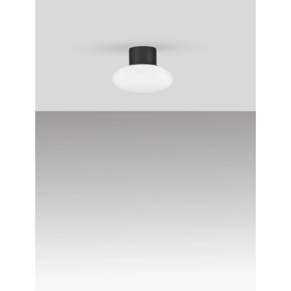 Deckenlampe Ali anthrazit mit ovalem weißem Glas Lyora 5212017476456