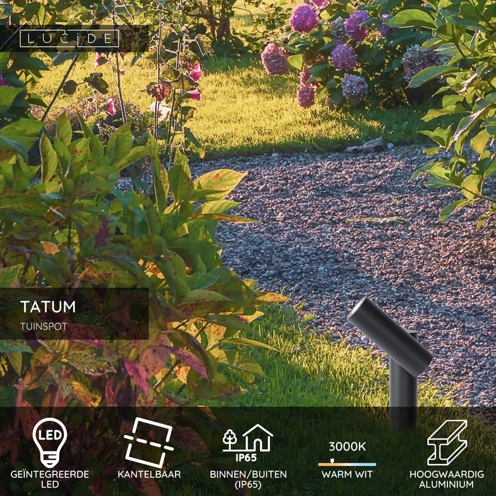 Gartenspitzen-Punkt Tatum Anthrazit Lucide 5411212271662