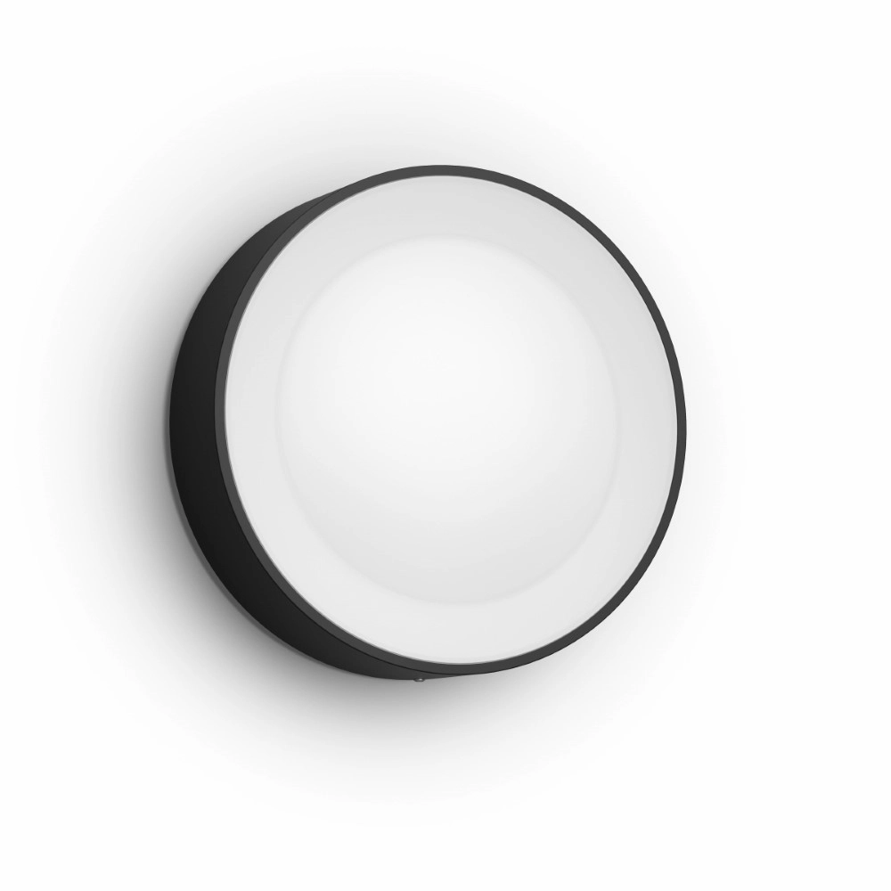 Runde Außenlampe Hue Daylo Schwarz Philips 8718696174401