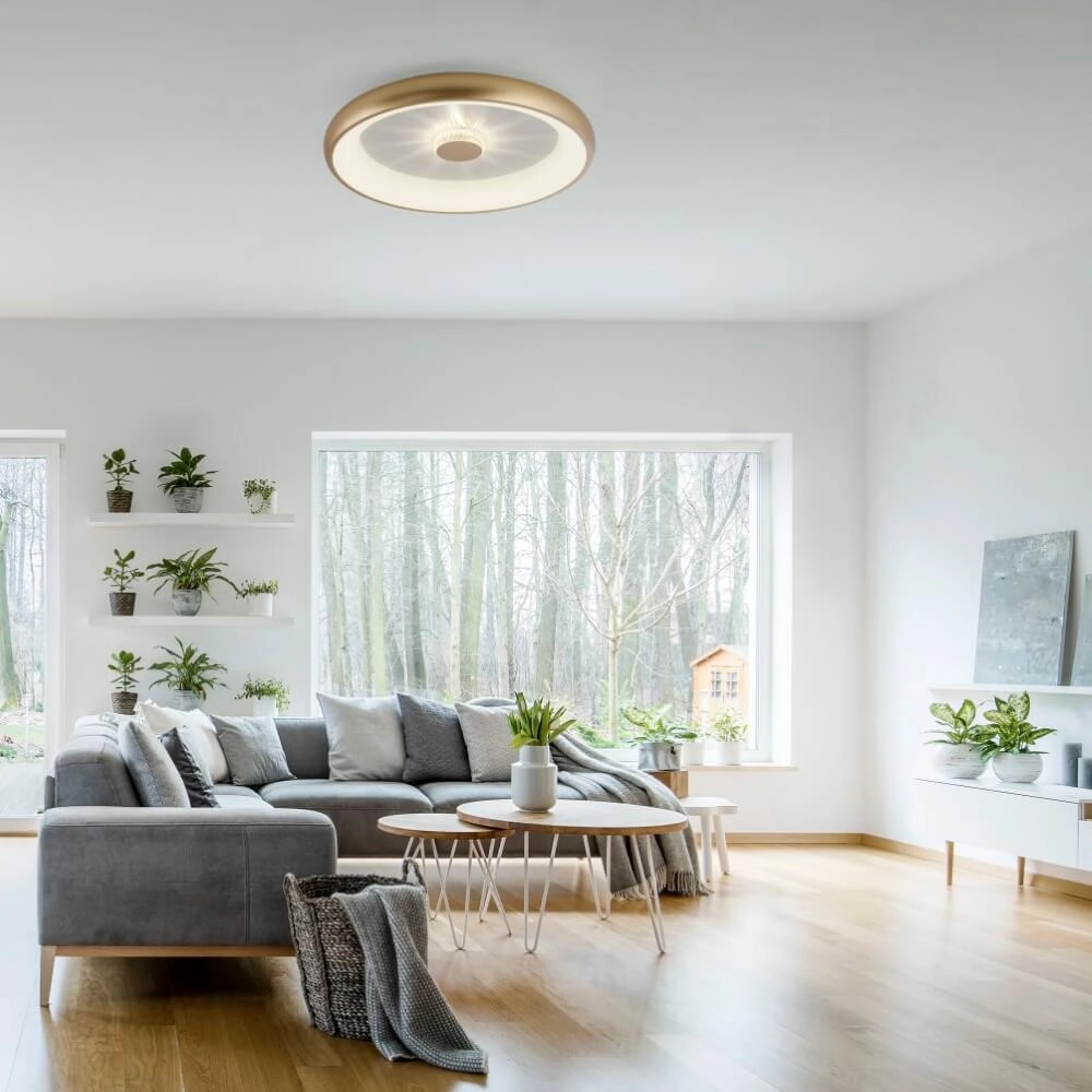 Runde Deckenleuchte Vertigo Messing Ø 61,5cm Just Light 4043689995096