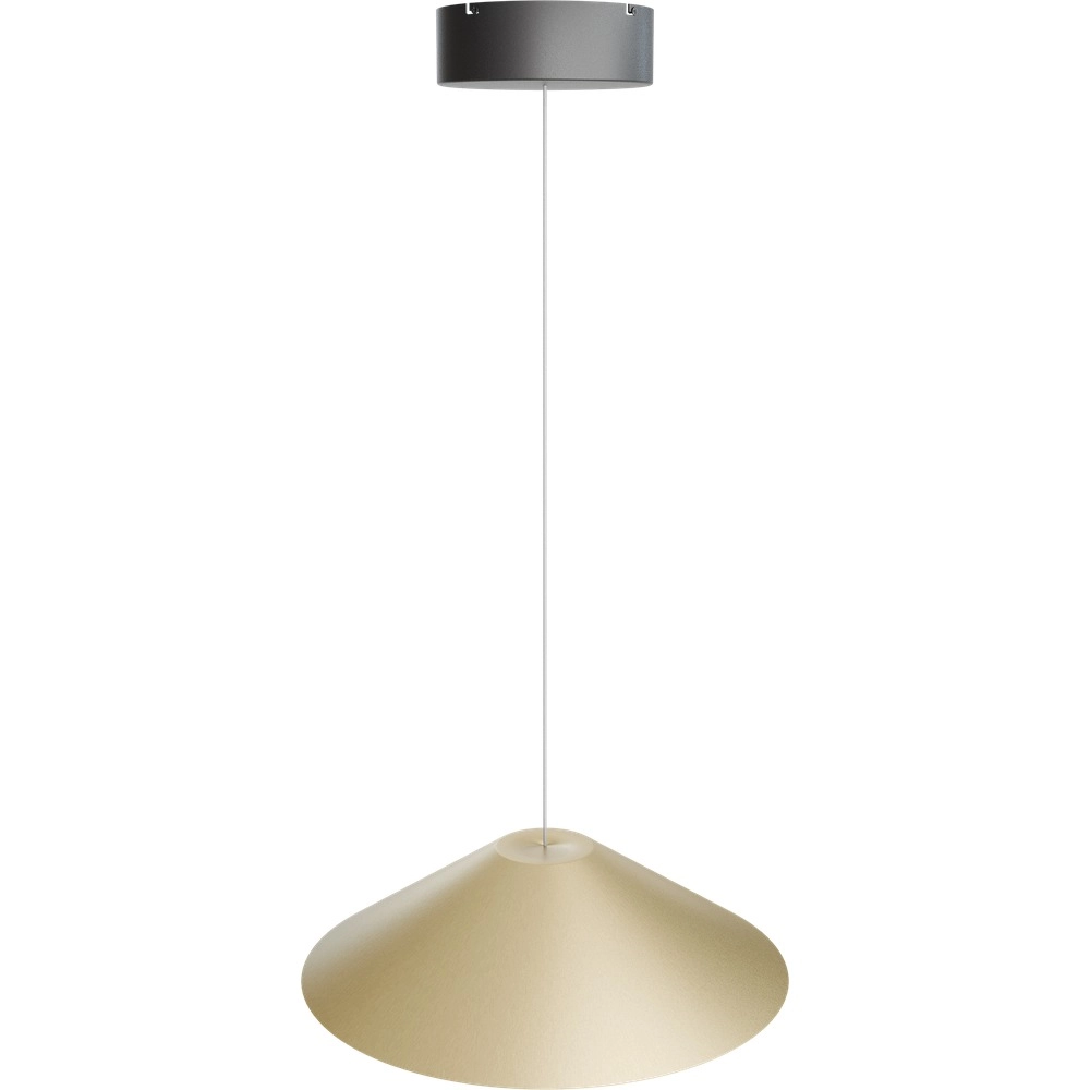 Design-Pendellampe Ceppo schwarz mit goldener Ø 45 cm Masterlight 8718121389226