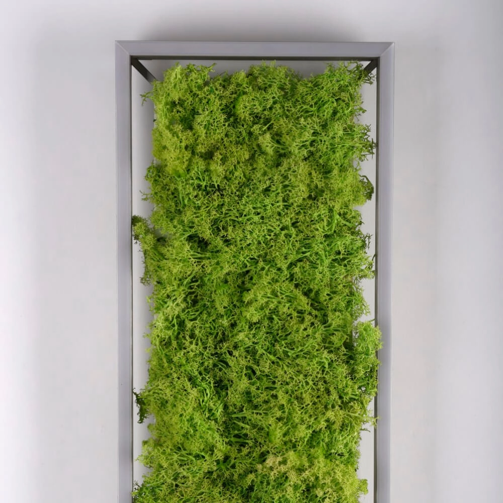 Rechteckige Deckenleuchte Green Knut mit Moos Just Light 4043689994846