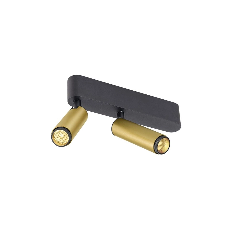 Aufputz-Spot Grip! S 2-flammiges Gold 3000K