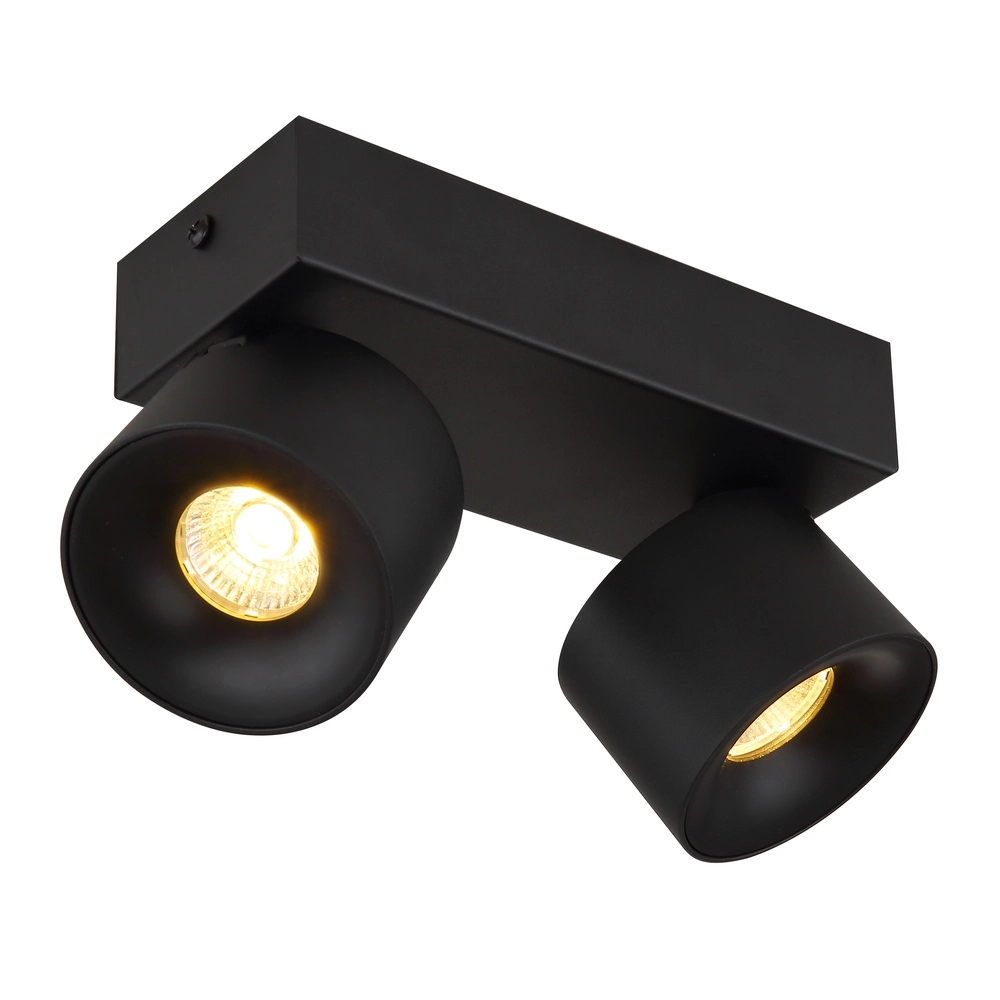 Elegante Deckenlampe Rae 2-Licht Schwarz