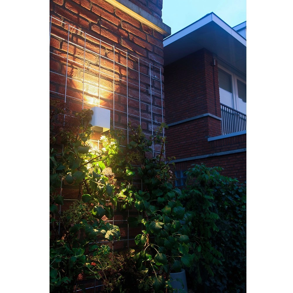 Wandstrahler Ace Up-Down White 12 Volt LED In-lite 8717051003783