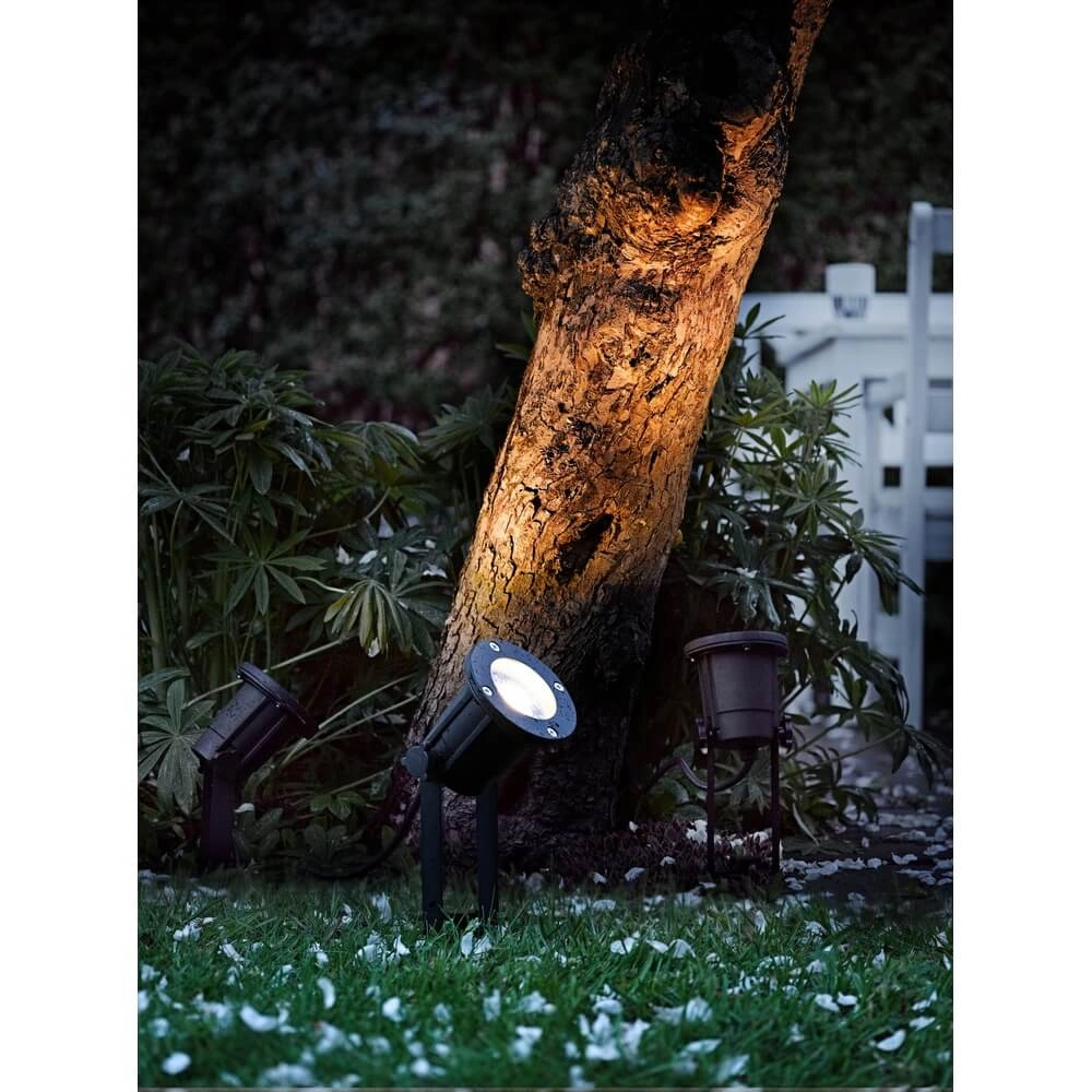 Spike-Punkt Spotlight schwarz Nordlux 5701581326781