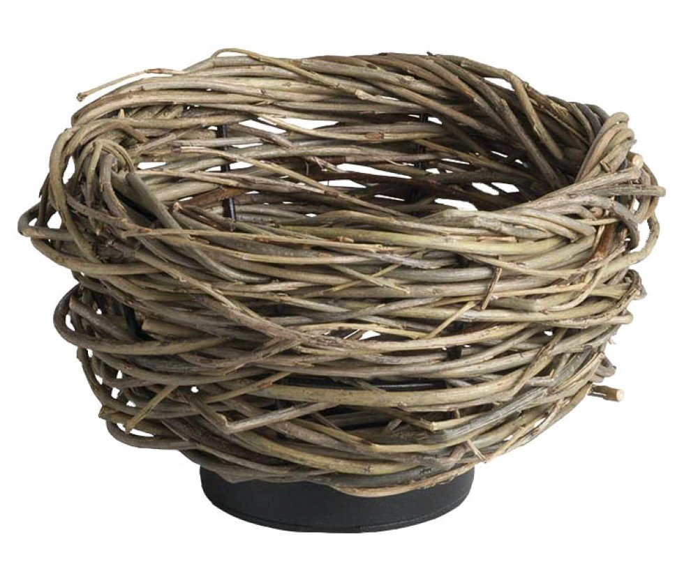 Nest Bodenfleck