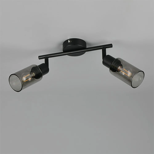 Design-Deckenlampe Mars 2-Licht Schwarz Trio 4017807670479