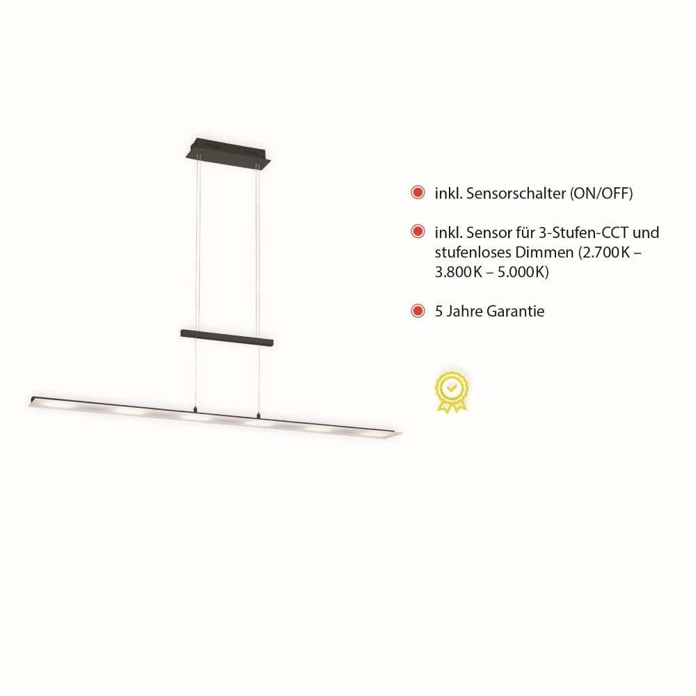 LED Hängelampe Nele Just Light 4043689969462