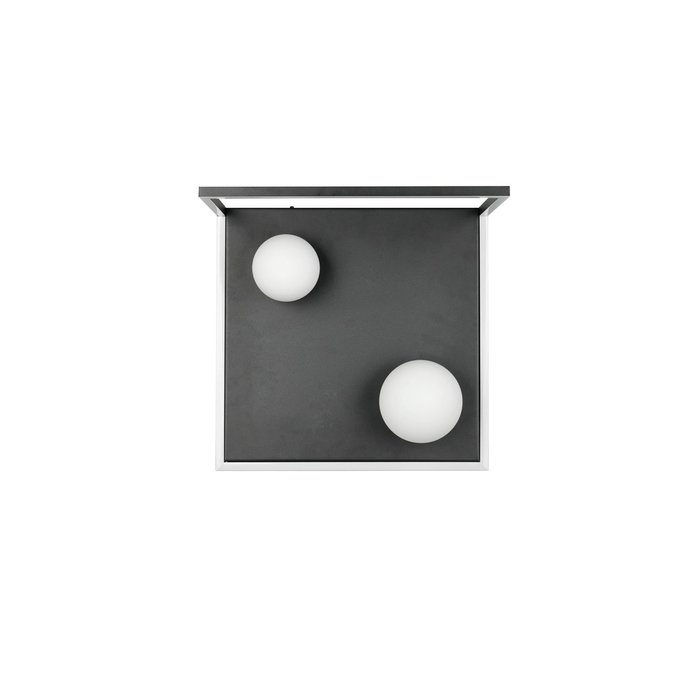 Design-Deckenlampe Arola Schwarz Trio 4017807683578