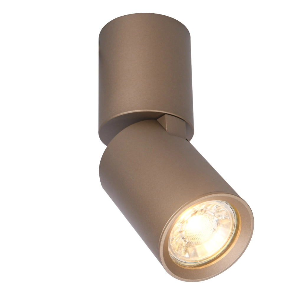 Champagner Aufbau-Spot Parma richtbar Aluminium Ø 5,6cm
