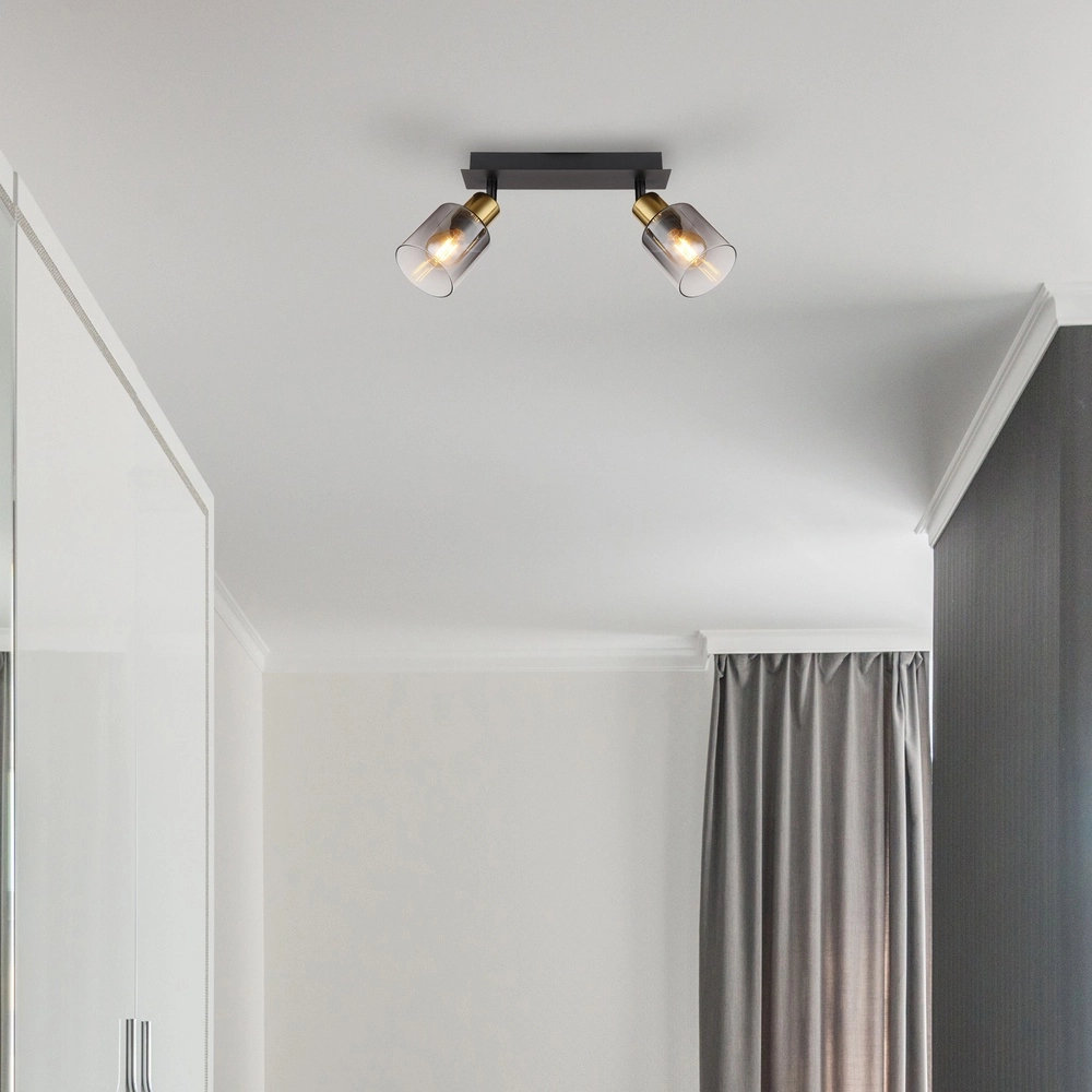 2-Licht Deckenlampe Hollsy Schwarz mit Rauchglas Globo 9007371445851