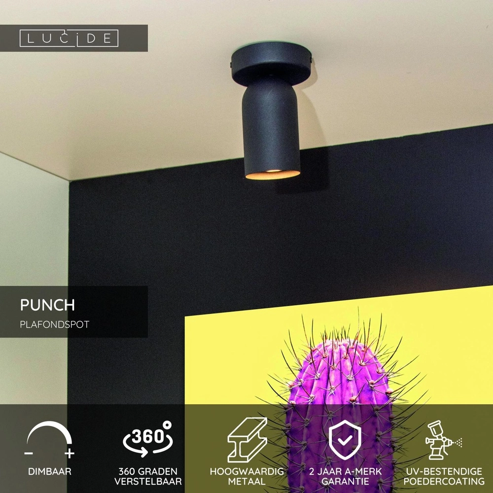 Deckenscheinwerfer Punch Single Black Lucide 5411212134318
