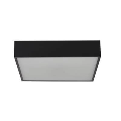Badezimmer-Deckenleuchte Zeus quadratisch schwarz Searchlight 5053423188607