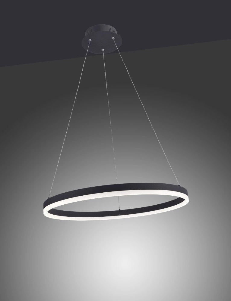 LED Hängelampe Titus Ø 60cm Paul Neuhaus 4012248305157