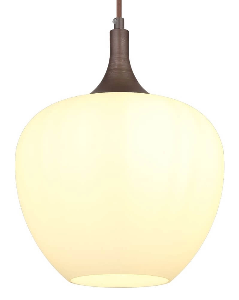 Braune Hängelampe Maxy 1-flammig Ø 24cm Globo 9007371445356