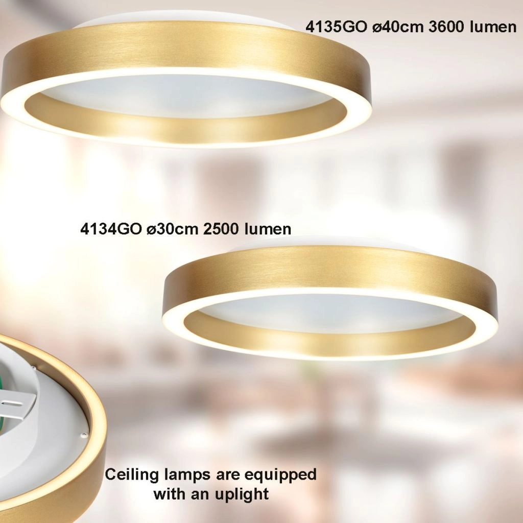 Design-Deckenlampe Ringlux gold Ø 40cm Steinhauer 8712746180923