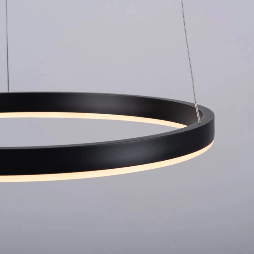 Schwarze LED-Hängelampe Ritus Ø 40cm Paul Neuhaus 4043689983949