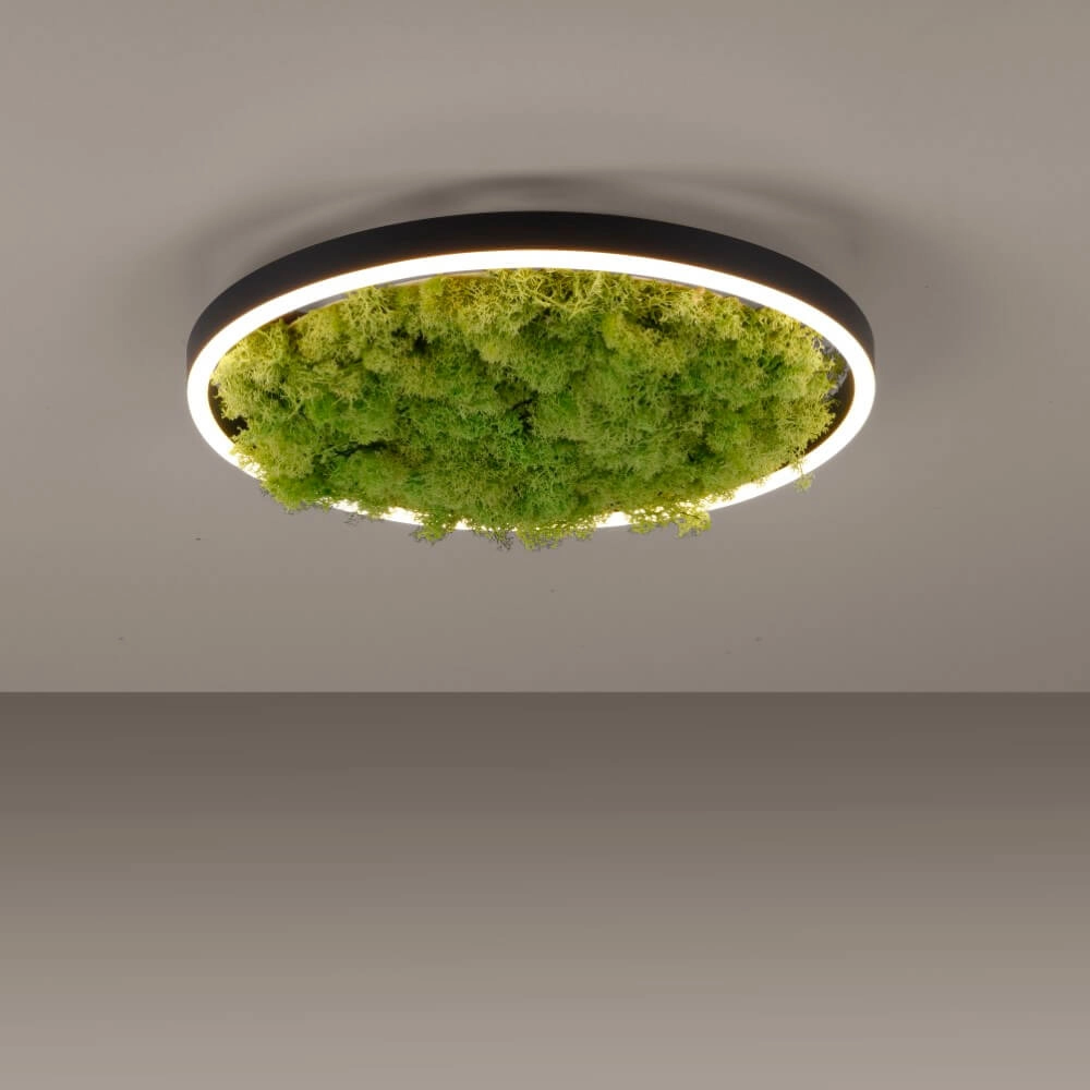 Deckenleuchte Green Ritus mit Moos Ø 39,3cm Just Light 4043689994792