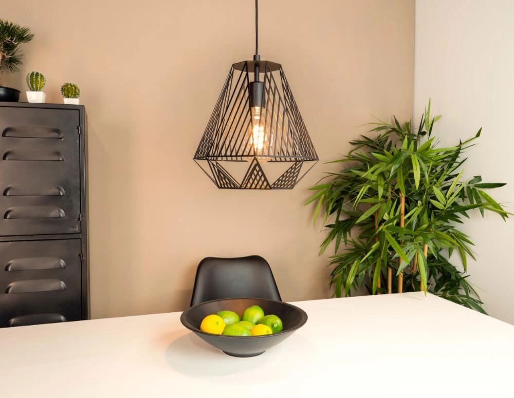 Schwarze Drahtlampe Stype Ø 33cm Eglo 9002759436926