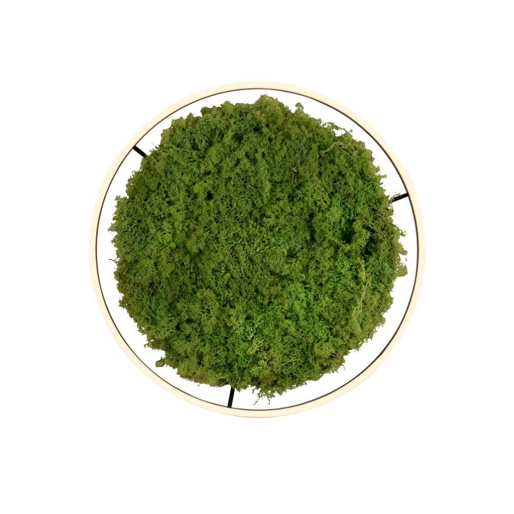 Deckenleuchte Green Ritus mit Moos Ø 58,5cm Just Light 4043689994808