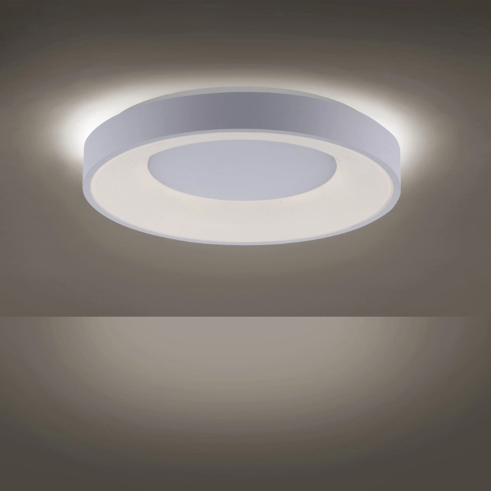 Ø 50cm Deckenleuchte Anika Just Light 4043689972585